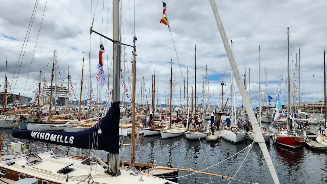 Les différents types de voiles pour les bateaux à voile